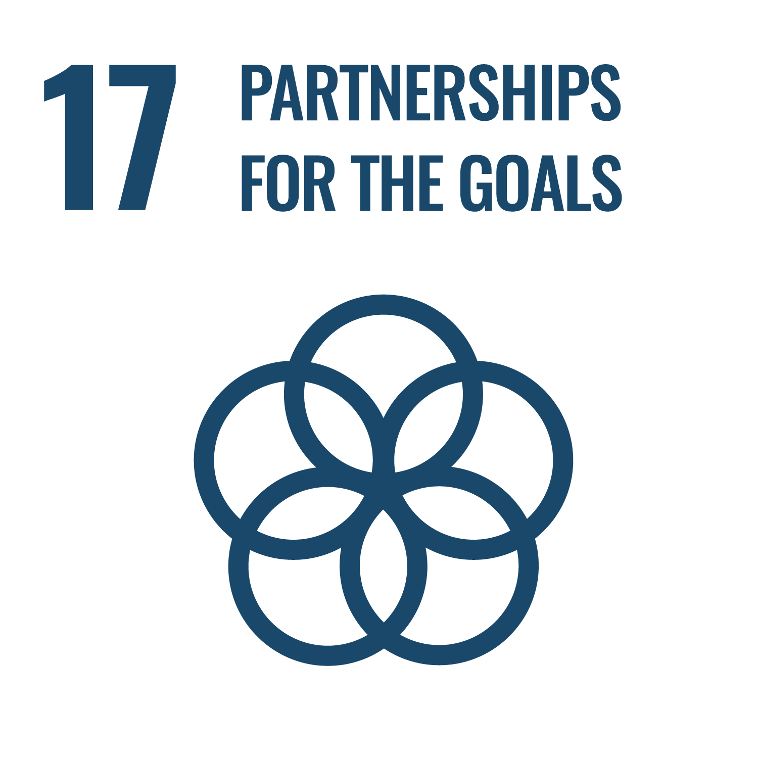 目标17，目标的合作伙伴关系